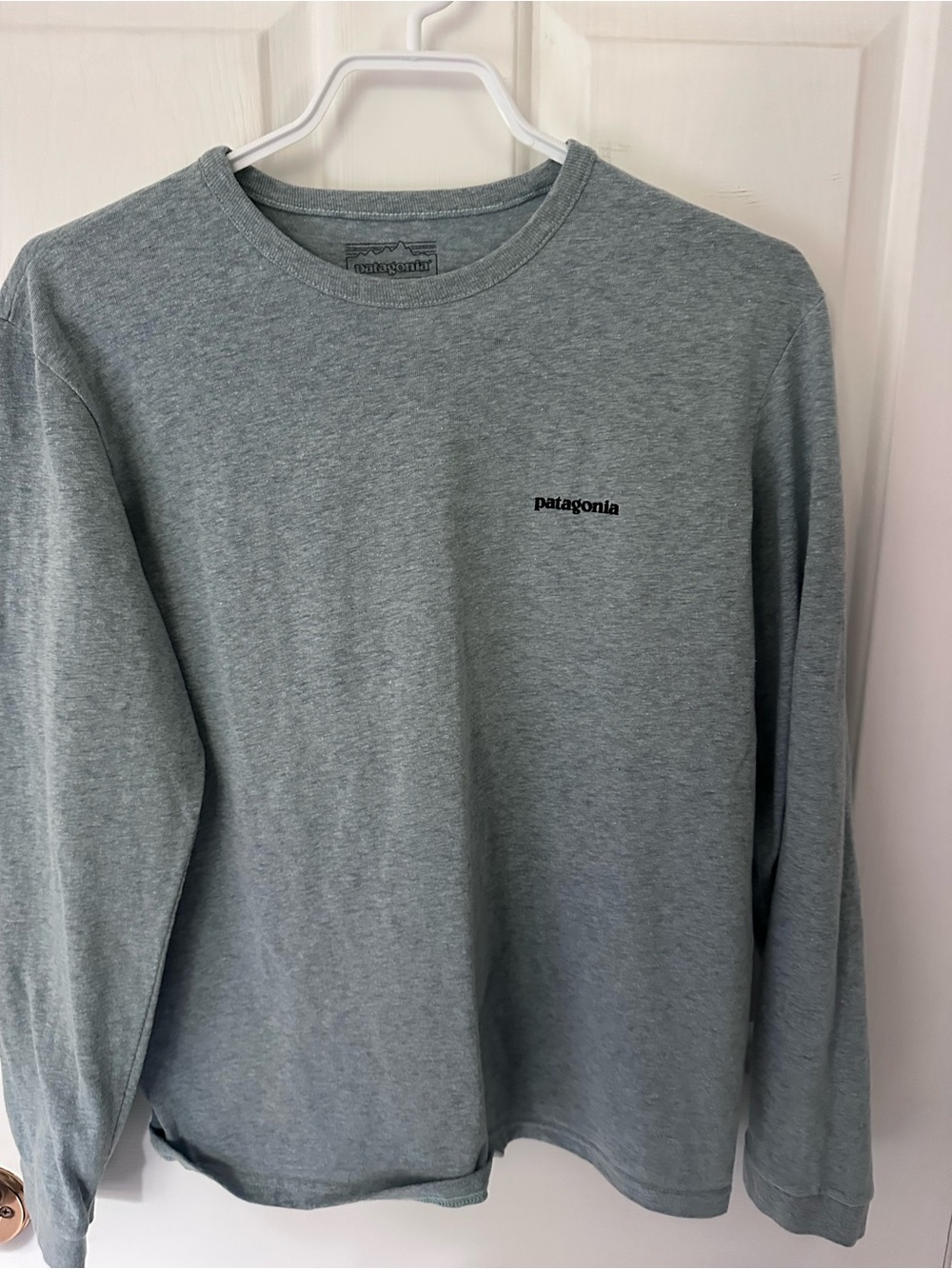 Patagonia Long-Sleeve Crewneck Tee — Heather Gray/blue